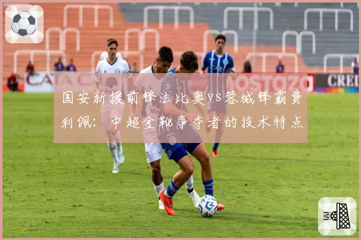 国安新援前锋法比奥vs蓉城锋霸费利佩：中超金靴争夺者的技术特点全面对比