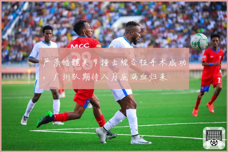 严鼎皓髋关节撞击综合征手术成功,广州队期待八月底满血归来